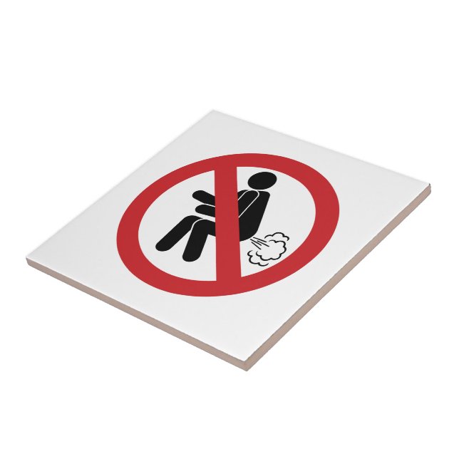 KEIN Farnzeichen ⚠ Funny Thai Toilet ⚠ Fliese (Seite)