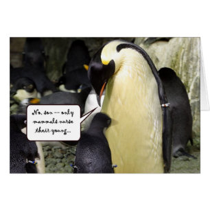 Kein freier Mittagessen-Pinguin