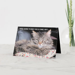 Kein Geburtstagskuchen, kann es sich nicht leisten Karte