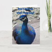 KEIN GEMEINER, PEACOCK FREUNDLICH UND SAGT GLÜCKLI