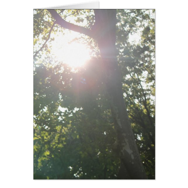 Kein guter Grund (Vorne)