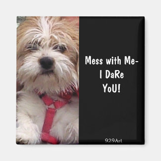 Kein Hund, sondern ein Hund Magnet