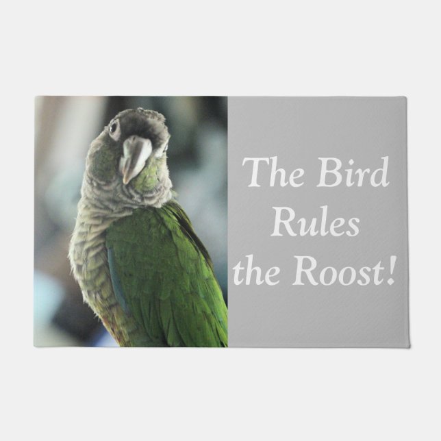 Kein Igel mehr Fußmatte (Vorderseite)