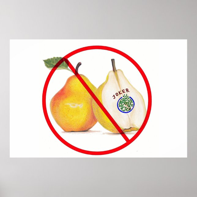 Kein JOKER POSTER (Vorne)