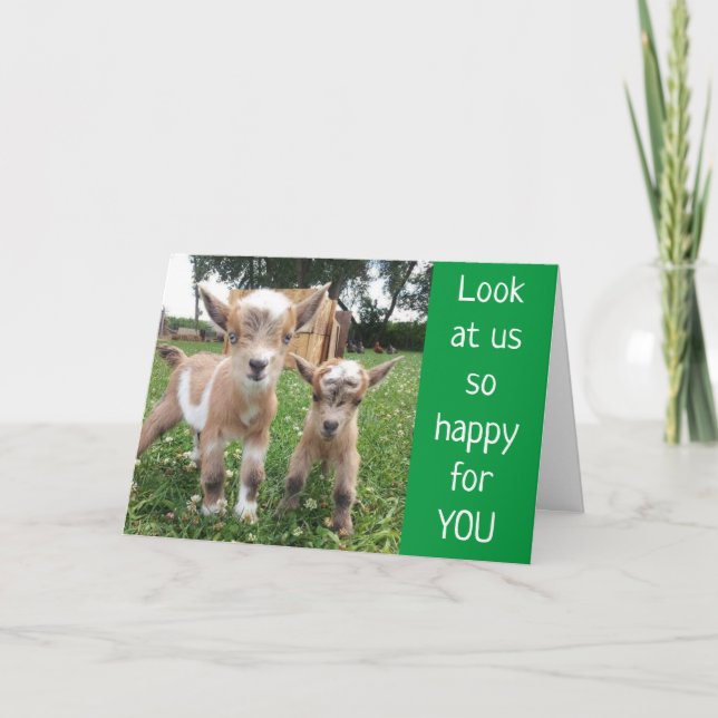 *KEIN KIDDING RUND* WÜNSCHT UNS DEN BESTEN GEBURTS KARTE (Vorderseite)