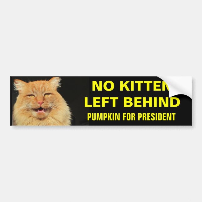 Kein Kitten Verlassen hinter 2 Autoaufkleber (Vorne)