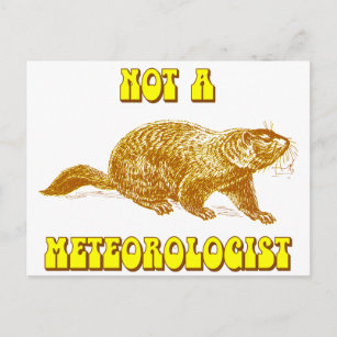 Kein Meteorologe Groundhog Postkarte