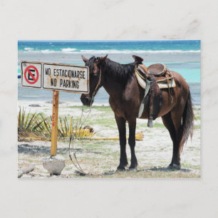 Kein Parkplatz Postkarte