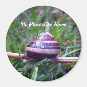 Kein Platz mögen Zuhause-Magneten Magnet