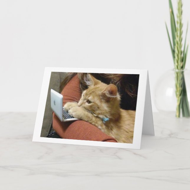 KEIN PURRING, WÜNSCHEND IHNEN EINE NUR WEIHNACHTEN KARTE (Vorderseite)