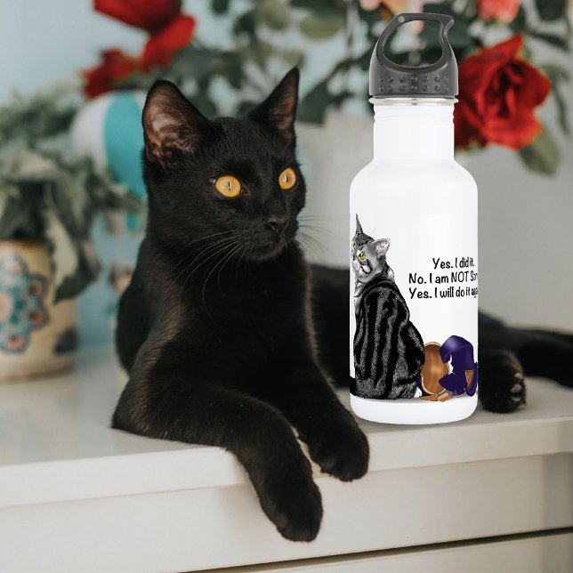 Kein Remorge Tabby Cat Funny Trinkflasche (Von Creator hochgeladen)