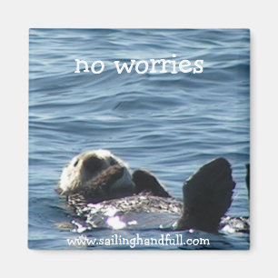 kein Seeotter Magnet
