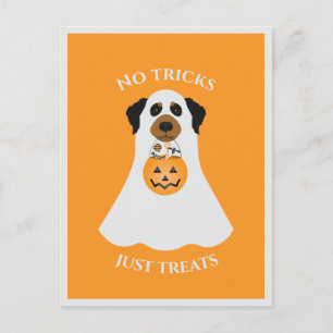 Kein Trick, nur Süßigkeiten Halloween-Hund Postkarte