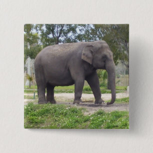 Kein Tusk Elephant Button