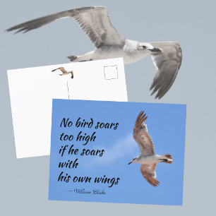 Kein Vogel fliegt zu hoch Zitat Möwe im Flug Postkarte