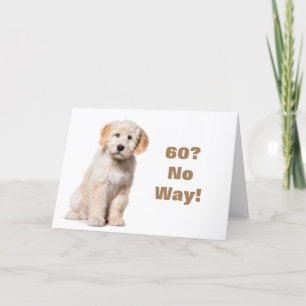 KEIN WEG, DASS SIE NICHT **60** KARTE SEIN KÖNNEN