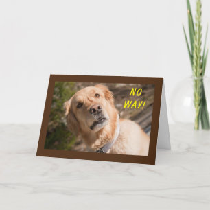 KEIN WEG "SIE" WERDEN MIT **70** KARTE ANGEZEIGT