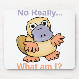Kein wirklich… Was sind ich? Platypus Mousepad