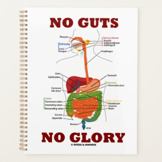 Kein Würfel kein glorreicher Digestive System Anat Planer