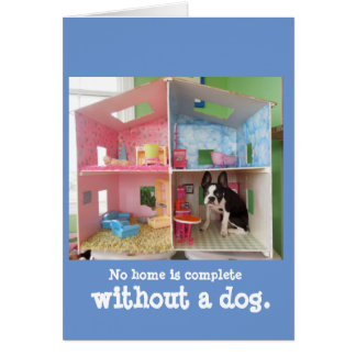 Kein Zuhause ist ohne einen Hund komplett