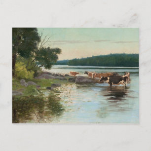 Keinänen’s Lake View Postkarte