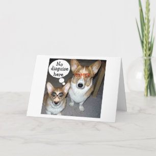 KEINE ANGABE IHRER LIEBE FÜR IHN ODER IHREN GEBURT KARTE