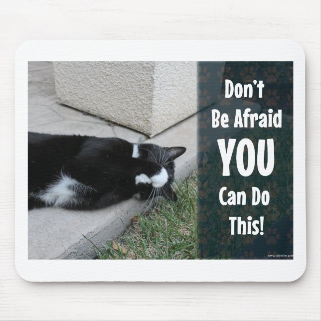 Keine Angst Kitty Epic Motivierend Slogan Foto Mousepad (Vorne)