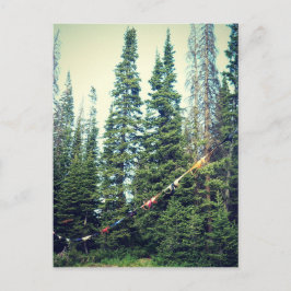 Keine Bras im Wald erlaubt Postkarte