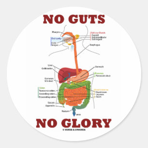 Keine Eingeweide kein Ruhm Runder Aufkleber