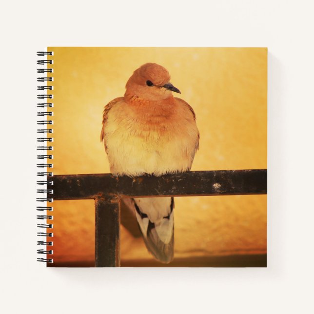 "Keine Fotos, bitte!" Notizbuch (Vorderseite)