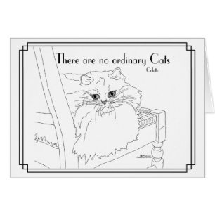 Keine gewöhnlichen Katzen