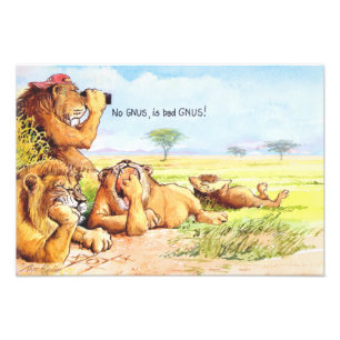 Keine Gnus Fotodruck