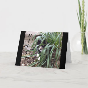 KEINE HIDT AUS DER WAHRHEIT "BEST NIECE" IN DER WE KARTE