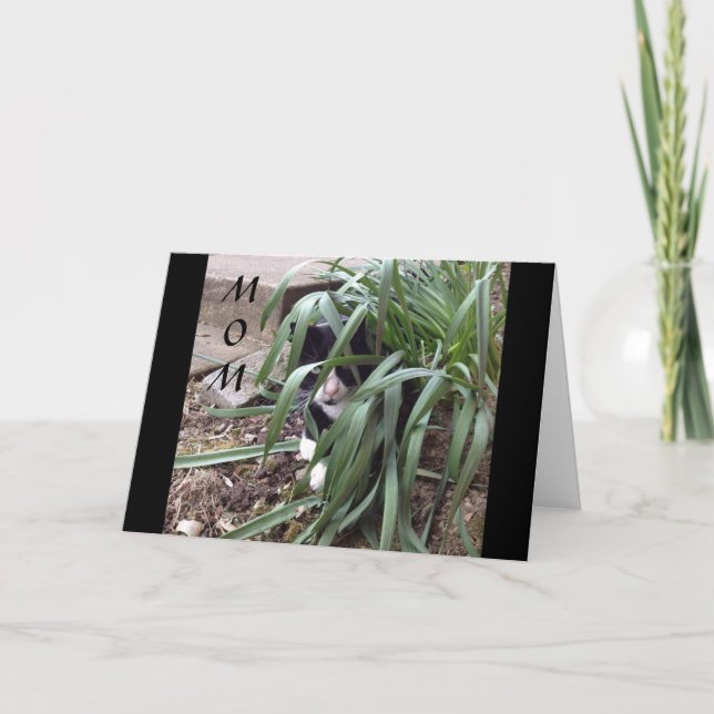 KEINE HIDT VON DER WAHRHEIT "BESTE MAMA" IN DER WE KARTE (Vorderseite)