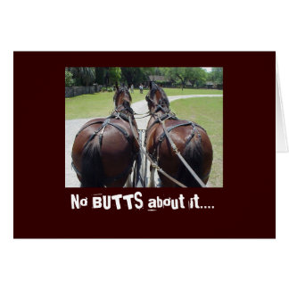 KEINE HINTERN DARÜBER....