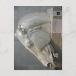 Keine höhere Auflösung verfügbar. Elgin_Marbles_16 Postkarte