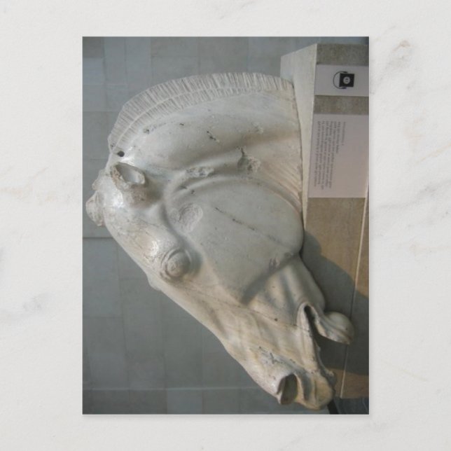 Keine höhere Auflösung verfügbar. Elgin_Marbles_16 Postkarte (Vorderseite)
