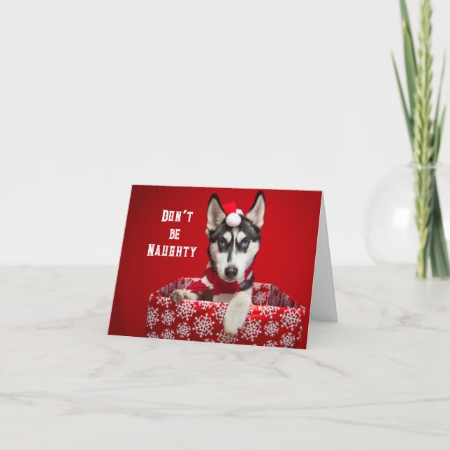 Keine Humbug Weihnachtsgrußkarte Feiertagskarte (Vorderseite)
