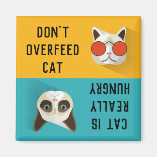 KEINE KATZKATZKATZKATZKATZE ÜBERSCHREITEN KEINE co Magnet