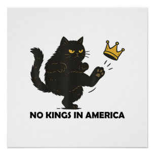 Keine Könige In Amerika Wir Das Volk Politische Mä Poster