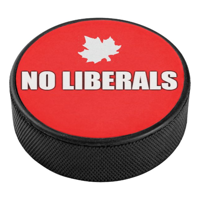 KEINE LIBERALEN EISHOCKEY PUCK (3/4)