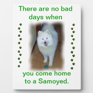 Keine schlechten Tage - Samoyed Plaque Fotoplatte