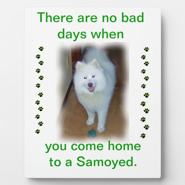 Keine schlechten Tage - Samoyed Plaque Fotoplatte (Vorderseite)