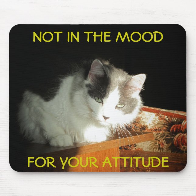 Keine Stimmung für Ihre Haltung Cat Meme Mousepad (Vorne)