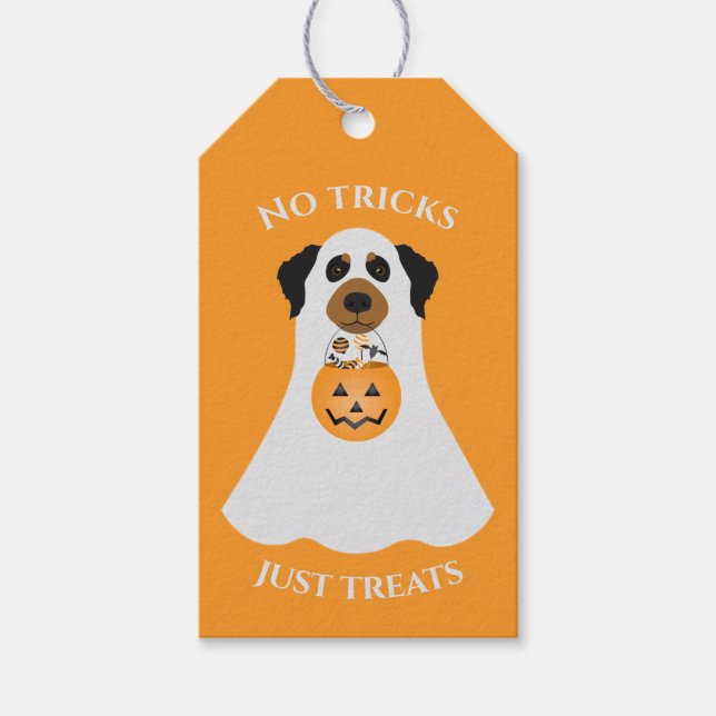 Keine Tricks nur Leckereien Halloween Hund Geschenkanhänger (Vorderseite)