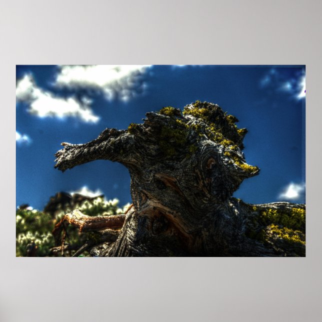 Keine Ziege Poster (Vorne)