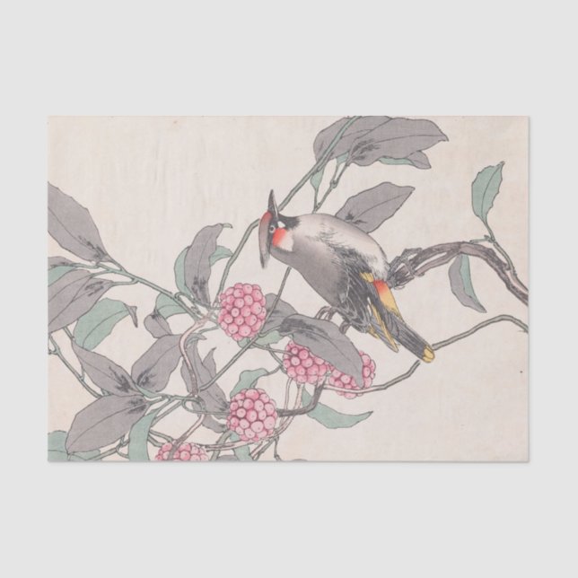 Keinen Kachō Gafu, Pl.21, von Imao Keinen Seidenpapier (Vorderseite)