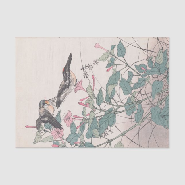 Keinen Kachō Gafu, Pl.23, von Imao Keinen Seidenpapier (Vorderseite)