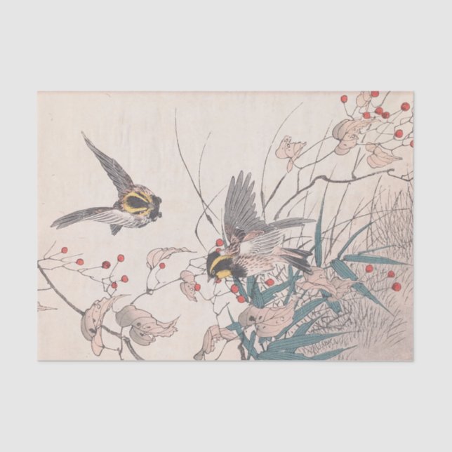 Keinen Kachō Gafu, Pl.27, von Imao Keinen Seidenpapier (Vorderseite)