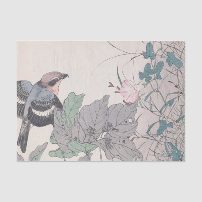 Keinen Kachō Gafu, Pl.32, von Imao Keinen Seidenpapier (Vorderseite)